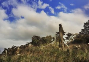 哈兰德：年轻天才如何在足球世界中崭露头角与未来展望